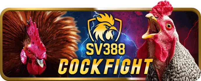 Video slot me88 login